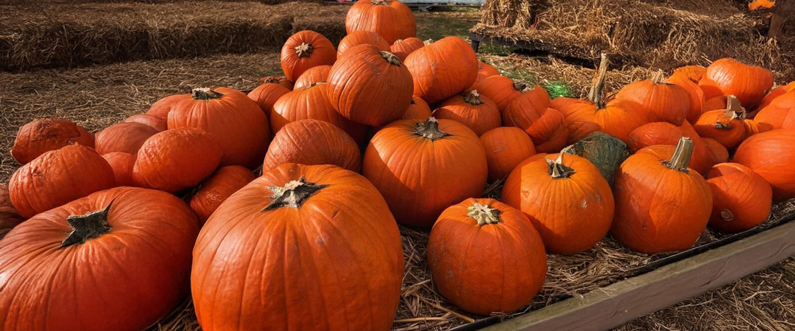 K2 support Rainbow Trust at Halloween